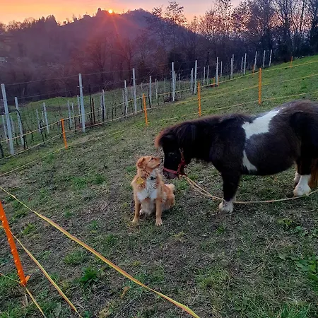 Farm stay Marco *