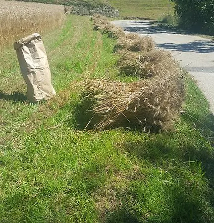Farm stay Marco *